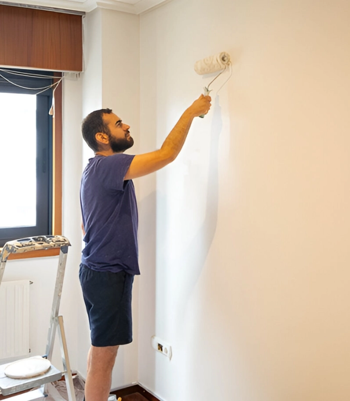 PRO Peinture